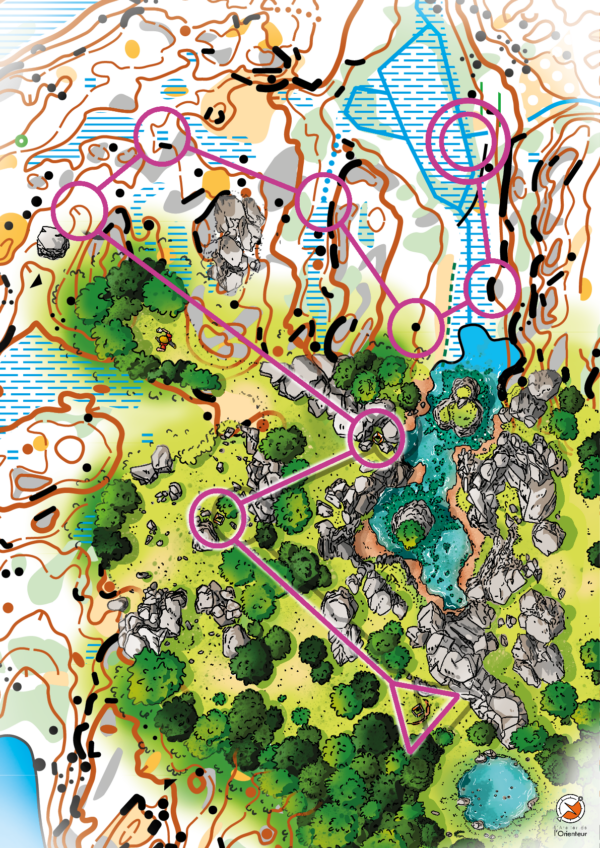 Affiche Carte - Terrain